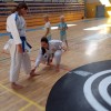 karate-klub-brezice-soltec, tabor-aktivnih-dozivetij-2025