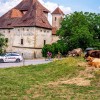 kids-tour-of-slovenia