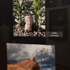 fotoklub-murska-sobota, razstava, fotografije, clovek-in-narava