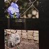 fotoklub-murska-sobota, razstava, fotografije, clovek-in-narava