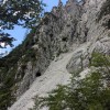 begunjscica