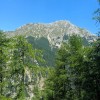 begunjscica