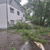 Novo mesto - Loka.jpg