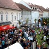 odprtje-mestne-promenade-brezice-2025, jure-tomic, turizem-brezice-2025