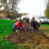 participativni-proracun