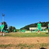 zelenica.jpg