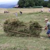 rocna-kosnja-na-lisci-2025, kmecka-tradicija