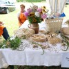 gaberje, vaski-dan, festival-langosev
