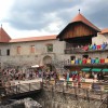 srednjeveski-dan, grad-zuzemberk