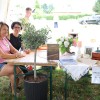 gaberje, vaski-dan, festival-langosev