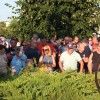 protestni-shod-sentjernej-2025, romska-problematika