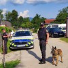 policisti-v-romskih-naseljih
