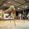 mednarodni-folklorni-festival, beltinci
