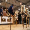mednarodni-folklorni-festival, beltinci