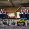 mednarodni-folklorni-festival, beltinci
