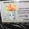 zakljucek-mestne-promenade-brezice-2025, hrvaska-glasbena-zasedba-vatra