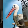 obrockanje-storkelj-v-posavju, fotografska-razstava