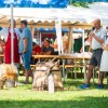 beltinci, mednarodni-folklorni-festival