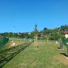 pasji-park, zibernik, psi
