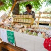 beltinci, mednarodni-folklorni-festival