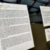 obrockanje-belih-storkelj-v-posavju-2025