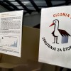 obrockanje-belih-storkelj-v-posavju-2025