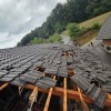 streha neurje
