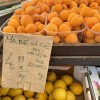 IMG_0077.jpeg