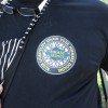 zetev-psenice-po-starem, zetev-na-trscini-2025