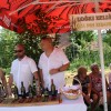zetev-psenice-po-starem, zetev-na-trscini-2025