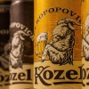 pivo, kozel