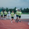 mrk-krka