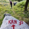 pd-novo-mesto, krn