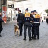 bruselj, policija