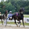 kasaski-klub-ljutomer, kasaske-dirke, hipodrom, ljutomer