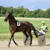 kasaski-klub-ljutomer, kasaske-dirke, hipodrom, ljutomer