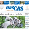 nascas30.jpg