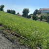 MZ Panorama 1.jpg