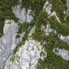 gorski-resevalci, okreselj