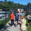 pocitnice, dvor