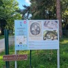 vrt spominov in tovarištva, petanjci, johaness kepler