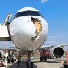 letalo, airbus, jastreb.jpg