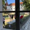 dan-za-zdravje