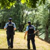 policija poletje.jpg