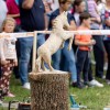 flosarski-bal, ljubno-ob-savinji, ljubno, flosarji, 65-flosarski-bal