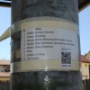 nm-bus, avtobusna-postaja-novo-mesto, nomago