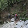 kolesar gozdna pot