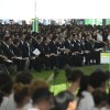japonska