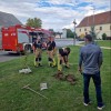 pgd cankova, sajenje dreves