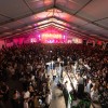 velika-polana, pomurski-poletni-festiva, ppf, 2025, dkwashen-retashy, zlata-žila